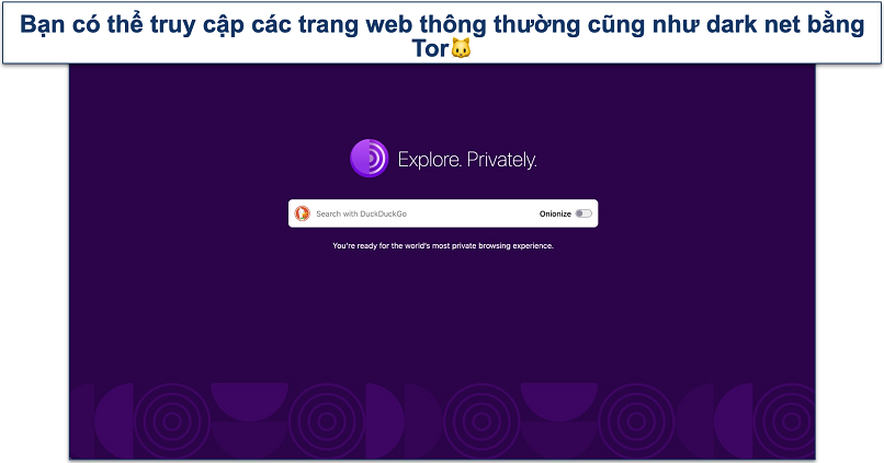 Screenshot of the Tor Browser homepage