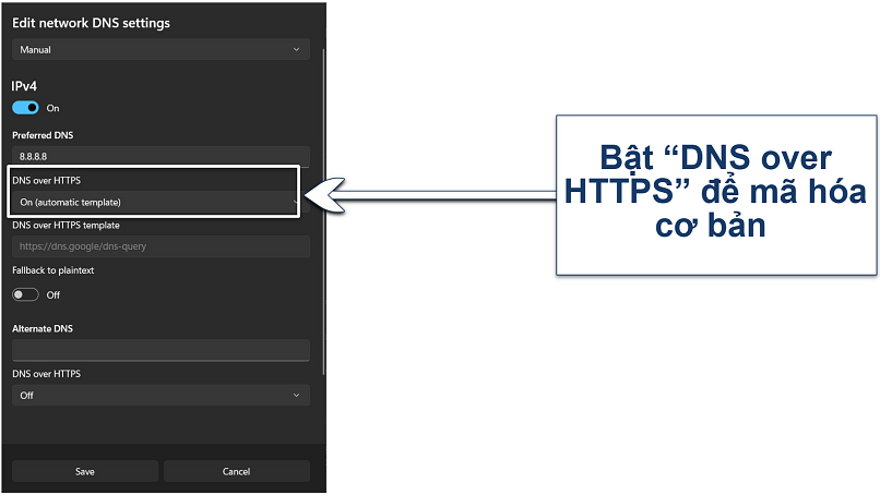 Screenshot of the custom DNS settings on Windows 11